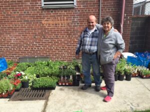 On the last day of May, community volunteers pitched in to pick up all the plants for the plant sale.