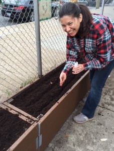 Julie plants cover crop seeds that will help replenish the soil with nitrogen and other nutrients.